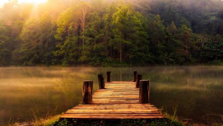 Serene Pier Overlooking Tranquil Lake in Nature's Embrace wallpaper