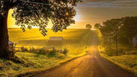 Golden Countryside Road at Sunrise wallpaper