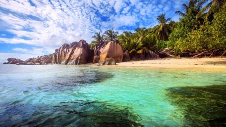 Tropical Serenity by the Shoreline wallpaper