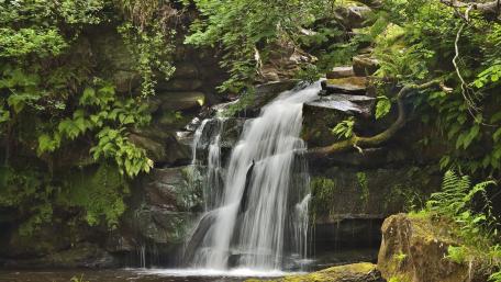 Serene Waterfall in Lush Greenery wallpaper