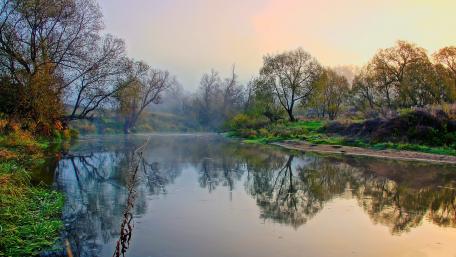 Serene River at Dawn with Misty Reflections wallpaper