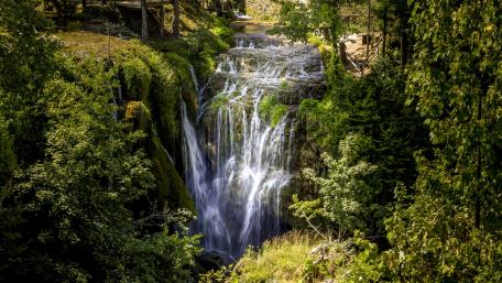 Serene Waterfall Amidst Lush Greenery wallpaper