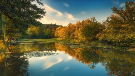 Serene Autumn Reflections in Nature's Embrace wallpaper