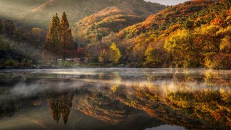 Autumn Serenity in Nature’s Mirror wallpaper