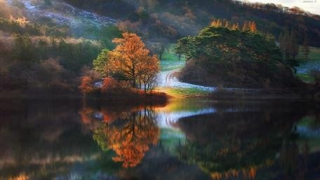 Autumn Serenity in Reflection wallpaper