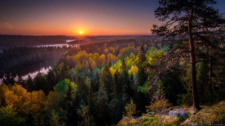 Serene Sunset Over a Lush Forest Landscape wallpaper
