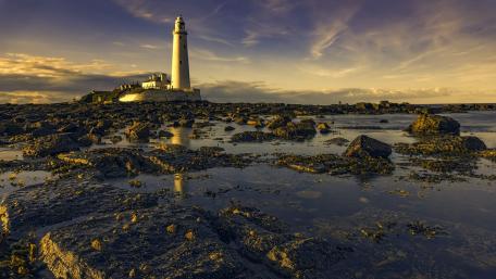 Serene Lighthouse by the Shore Amidst Nature's Beauty wallpaper