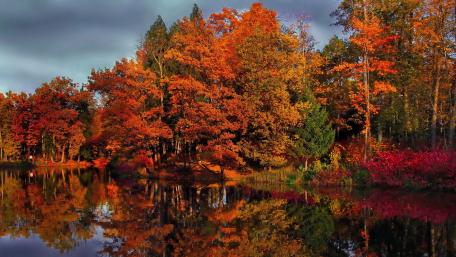 Vibrant Autumn Reflections in Nature wallpaper