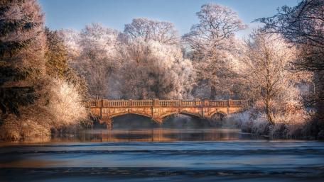 Winter Wonderland Bridge Amidst Frosty Beauty wallpaper