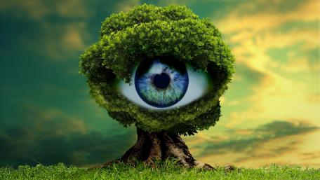 Tree eye wallpaper
