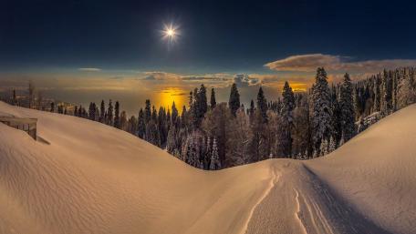 Serene Winter Landscape Under a Starry Night Sky wallpaper