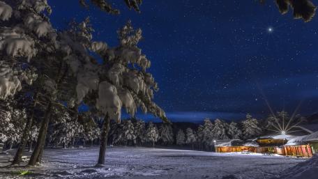 Winter Night Under a Starry Sky wallpaper