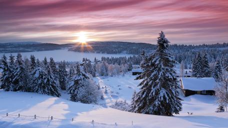 Winter Serenity in a Snowy Landscape wallpaper