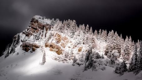 Majestic Winter Wonderland wallpaper