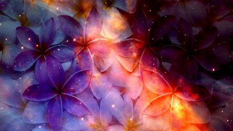 Dreamy Floral Galaxy Backgrounds for Serenity wallpaper