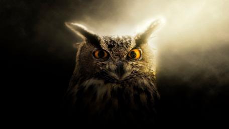 Majestic Owl in Ethereal Glow wallpaper