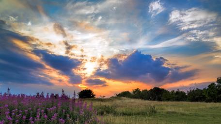 Radiant Sunset Over Blossoming Fields wallpaper
