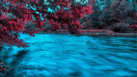 Vibrant River Flowing Through Enchanted Forest wallpaper