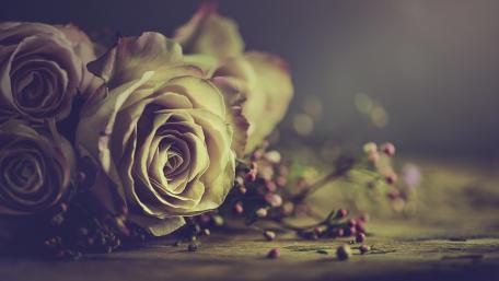 Vintage Roses on Wood Background for Elegant Decor wallpaper