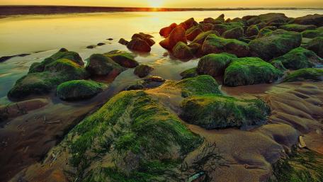 Tranquil Sunset Over Mossy Rocks on the Shoreline wallpaper