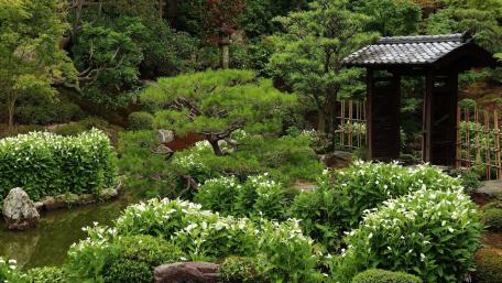 Serene Garden Oasis for Tranquility and Peaceful Reflection wallpaper