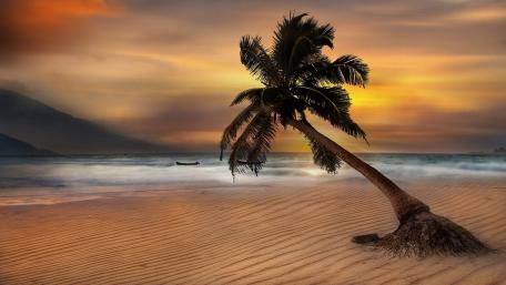 Tranquil Sunset on a Sandy Beach wallpaper