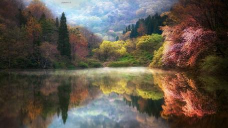 Autumn Serenity in Nature's Mirror wallpaper
