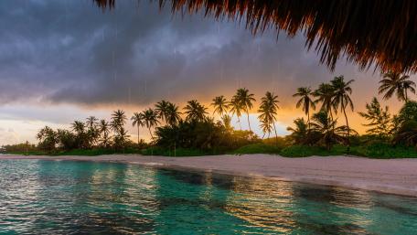 Tropical Rainfall at Sunset wallpaper