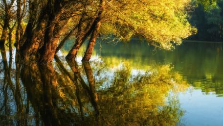 Serene Reflections on a Tranquil Lake wallpaper