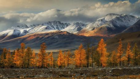 Golden Autumn Serenity in Majestic Mountains wallpaper