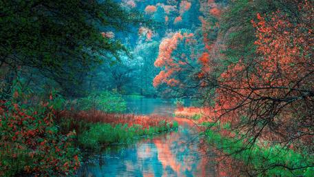 Vibrant Autumn River Reflections in Nature's Canvas wallpaper