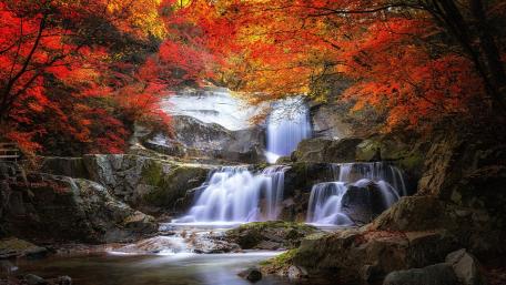 Autumn Serenity at the Waterfall wallpaper