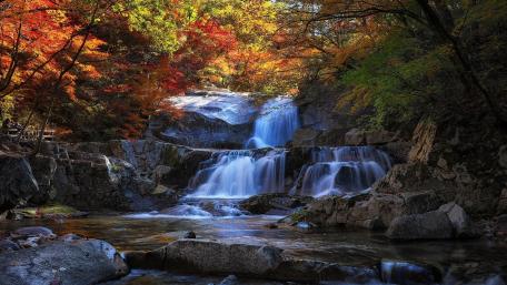Autumn Serenity in Cascading Waters wallpaper