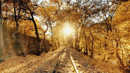 Golden Autumn Railway Through Enchanted Forest wallpaper
