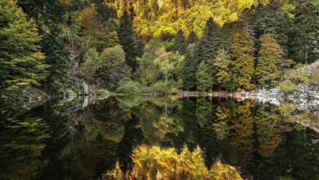 Autumn Serenity in Nature's Mirror wallpaper