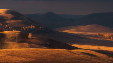 Golden Horizons of Autumn Serenity wallpaper