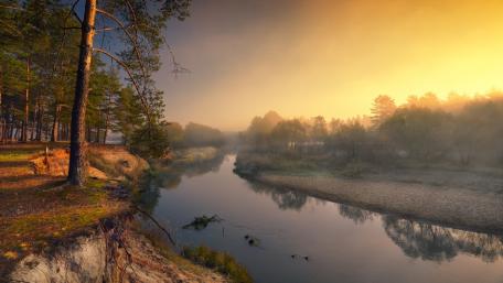 Serene River at Sunrise in Misty Forest Scene wallpaper