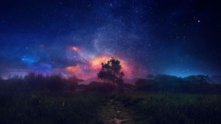 Starry Night Fantasy Landscape wallpaper