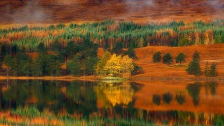 Autumn Serenity in Nature's Reflection wallpaper