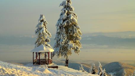 Winter Wonderland Retreat wallpaper