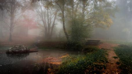 Mystical Autumn Foggy Landscape in Nature wallpaper