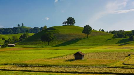 Hillside Serenity in the Countryside wallpaper