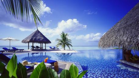 Tropical Summer Paradise wallpaper
