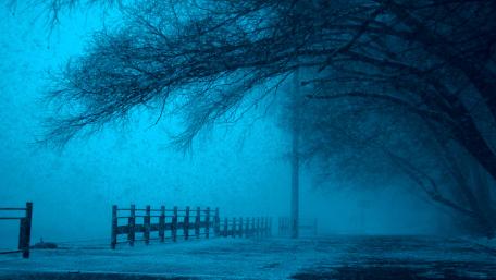 Winter's Silent Blue Embrace wallpaper