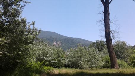 Serene Mountain Landscape Under Clear Blue Sky wallpaper