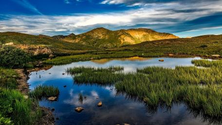 Serene Pond Reflection in Nature's Beauty wallpaper