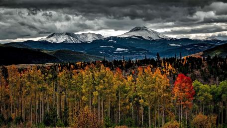 Majestic Autumn Mountains and Forest Views wallpaper