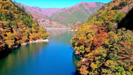 Autumn Serenity by the Lake wallpaper