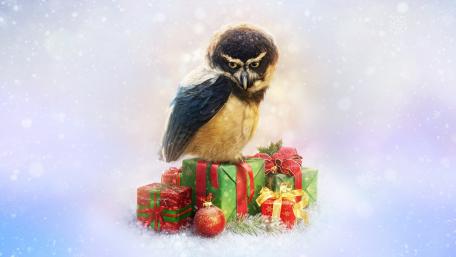 Whimsical Owl Amidst Christmas Gifts wallpaper
