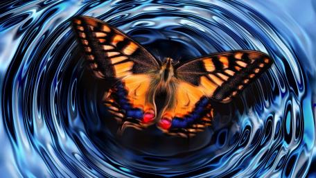 Mystical Butterfly in a Dreamy Blue World wallpaper